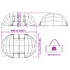 vidaXL Zwembad Tent Koepel Doorzichtig 640 x 432 x 205 cm PVC