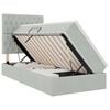 vidaXL Opbergbed met LED met matras Lichtgrijs 100 x 200 cm Fluweel