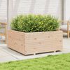 vidaXL Plantenbak 100x100x49,5 cm massief grenenhout
