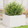 vidaXL Plantenbak 80x80x46 cm massief grenenhout wit