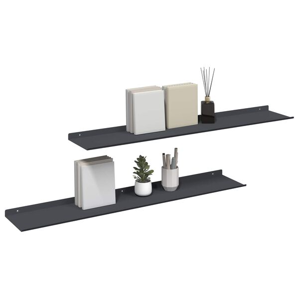 vidaXL Drijvende plank 2 pcs Antraciet 100 x 18 x 2,5 cm Staal