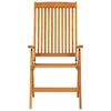 vidaXL Tuinstoelen 2 st inklapbaar massief eucalyptushout