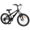 vidaXL Mountainbike 24 Inch 6-Snelheid voor 8-12 jaar oud Zwart