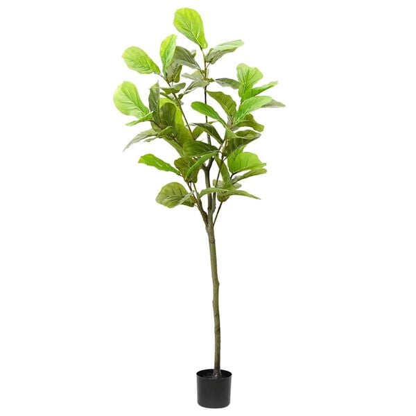Productafbeelding 1 van 5