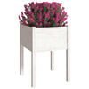 Miniatuurafbeelding van het product 3 van 8