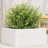 vidaXL Plantenbak 50x50x23 cm massief grenenhout wit