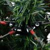 Miniatuurafbeelding van het product 7 van 8