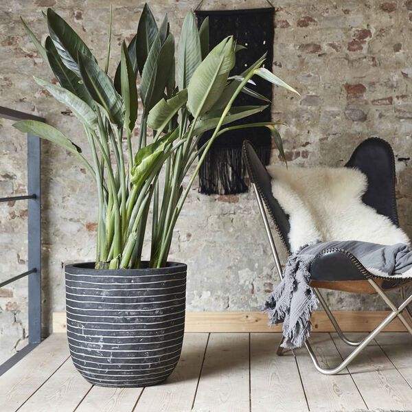 Capi Bloempot Nature Row 43x41 cm antraciet
