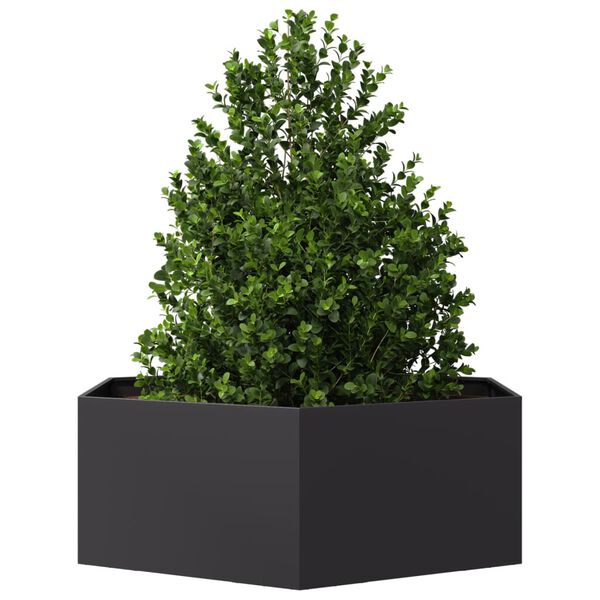 vidaXL Plantenbak zeshoek 138x120x45 cm staal zwart