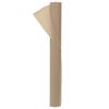 vidaXL Vorstbescherming Plantvlies 50 gsm 10 x 1,6 m Niet-geweven Stof
