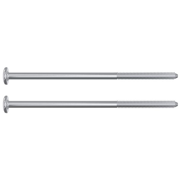 vidaXL Bout 12 pcs Zilver M6 x 120 mm Staal