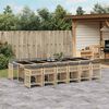 vidaXL 13-delige Tuinset met kussens poly rattan gemengd beige