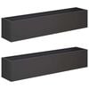 vidaXL Plantenbak 2 st Zwart 80 x 20 x 20 cm Koudgewalst staal