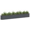 Miniatuurafbeelding van het product 3 van 8
