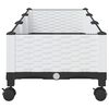 Miniatuurafbeelding van het product 4 van 8