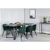 Venture Home Eetkamerstoelen 2 st Velvet fluweel zwart en groen