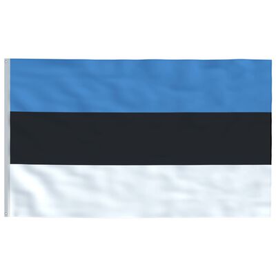 vidaXL Vlag met vlaggenmast Estland 6,2 m aluminium