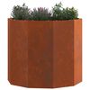 vidaXL Plantenbak Roestig 60 x 60 x 50 cm Cortenstaal