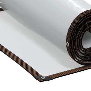 vidaXL Zeildoek Doorzichtig 2,5 x 1 m PE