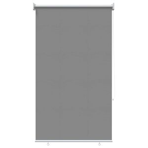 vidaXL Buitenrolgordijn UV-bescherming Lichtgrijs 100 x 230 cm (B x H)