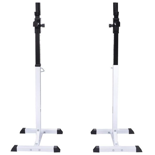 vidaXL Halter-/squatrek met halterset 30,5 kg
