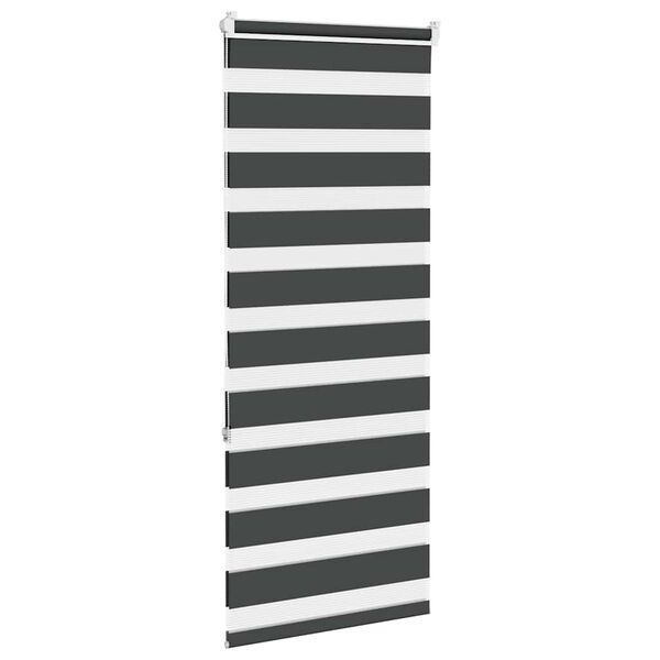 vidaXL Zebra rolgordijn 60x150 cm stofbreedte zwart 55,9 cm
