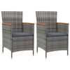 vidaXL Tuinstoelen 2 st poly rattan grijs