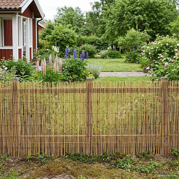 Productafbeelding 2 van 7