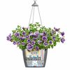 LECHUZA Plantenbak NIDO Cottage 35 ALL-IN-ONE hangend lichtgrijs