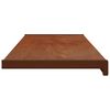 vidaXL Raamsokkel Bruin Hout 120 x 30 x 4,5 cm PVC