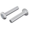 vidaXL Vergrendelingsschroef 2 st Zilver M6 x 30 mm Staal