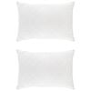 vidaXL Hoofdkussen FULDA 2 st 30 x 50 cm 100% Ganzendons en Veer Wit