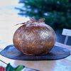 Miniatuurafbeelding van het product 2 van 3