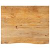 vidaXL Tafelblad met natuurlijke rand 100x80x2,5 cm massief mangohout