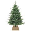 vidaXL Kerstboomkraag Bruin 50 x 50 x 25 cm Zeegras