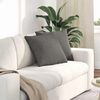 vidaXL Sofa Kussens 2 stuks Lichtgrijs 45 x 45 cm Cordstof