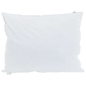 vidaXL Hoofdkussen 2 st 50 x 70 cm Veren Wit