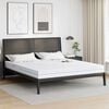 vidaXL Matras Wit 200 x 200 cm Schuim