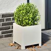 vidaXL Plantenbakken 2 st 30x30x30 cm staal wit