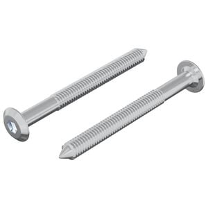 vidaXL Bout 2 pcs Zilver M6 x 60 mm Staal