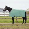 vidaXL Paardendeken Speciale Groen Polyester