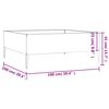 vidaXL Plantenbak verhoogd 100x100x41 cm cortenstaal