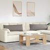 vidaXL Sofa Kussens 2 stuks Taupe 120 x 40 cm Stof