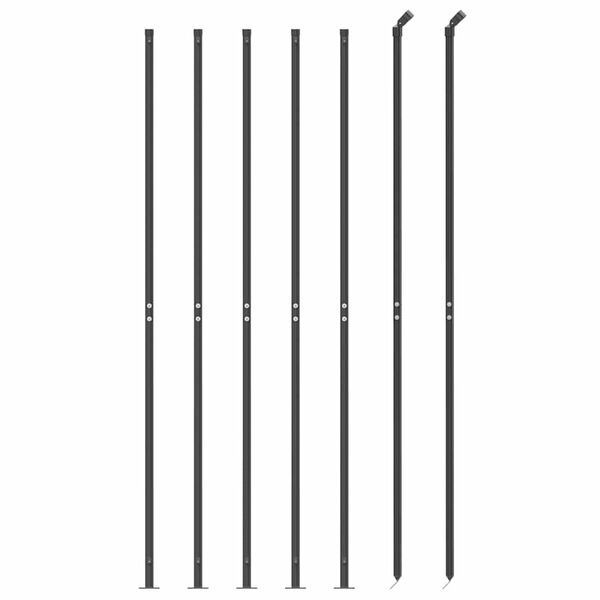 vidaXL Draadgaashek met flens 2,2x10 m antracietkleurig