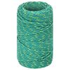 vidaXL Multifunctioneel gebruikstouw 2 mm 250 m Groen PP