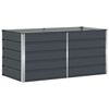vidaXL Plantenbak Antraciet 160 x 80 x 75 cm Staal