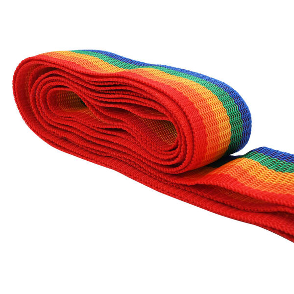 vidaXL Bagageriem 4,2 m