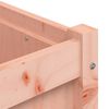 vidaXL Plantenbak 180x50x50 cm massief douglashout