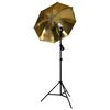 vidaXL Fotostudioset met lampen, paraplu's, achtergrond en reflector