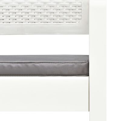 vidaXL Tuinbank 2-zits met kussens 120 cm kunststof wit